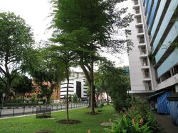 Bukit Ho Swee View (D3), Shop House #599586181